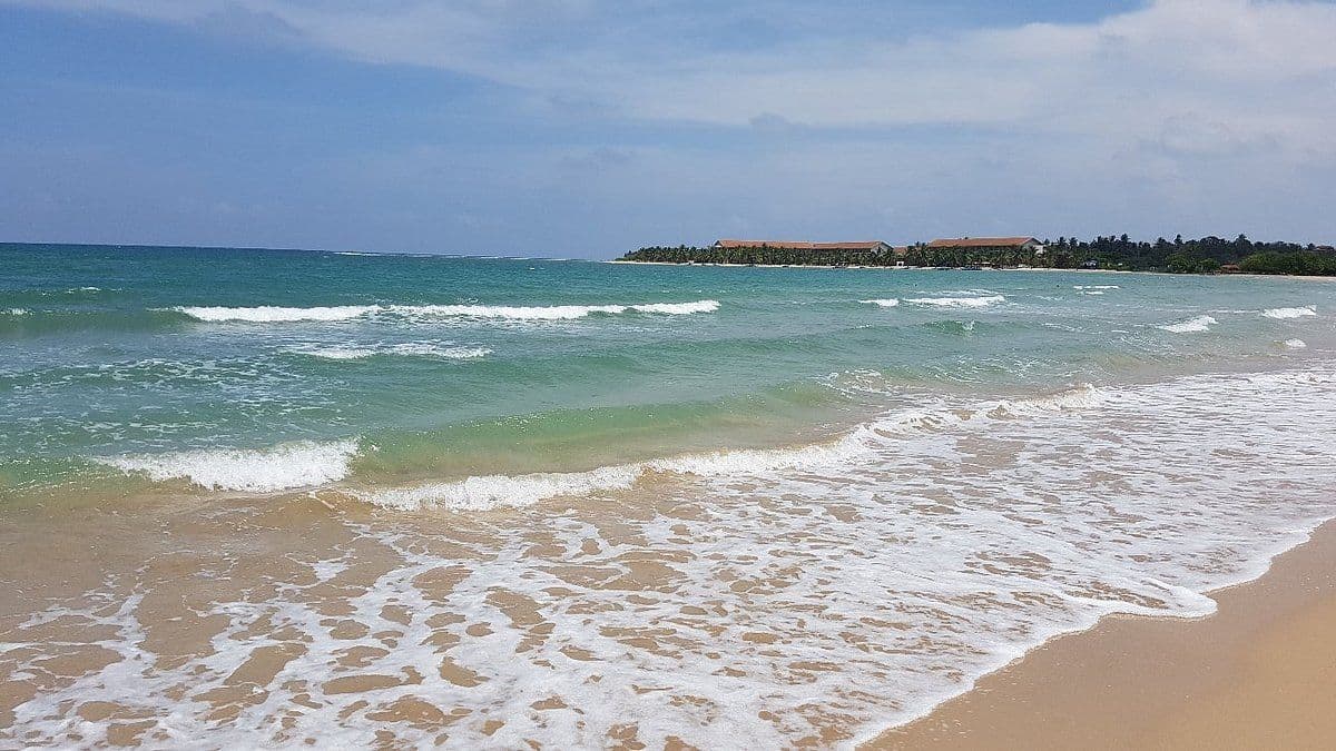 Pasikuda’s Wild Twin: The Untamed Beauty of Kalkudah Beach