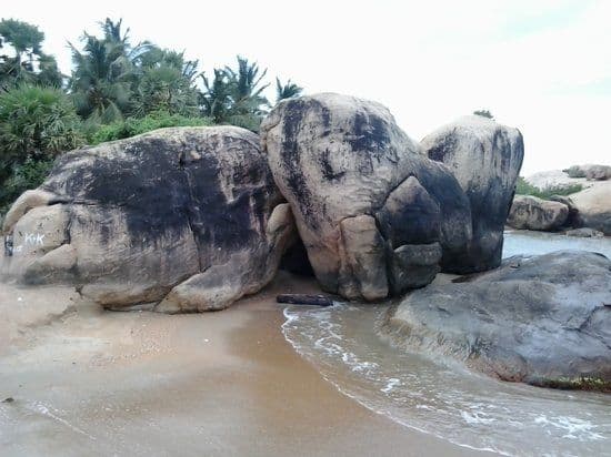 Elephant Rock Beach: The Ultimate Seaside Viewpoint