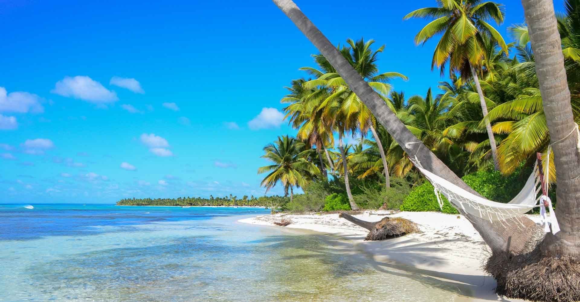 Coconut Cultural Park: A Tropical Plantation Journey