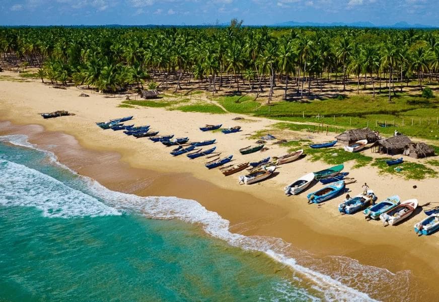 Pasikuda’s Untouched Paradise: The Pristine Kalkudah Sandbar