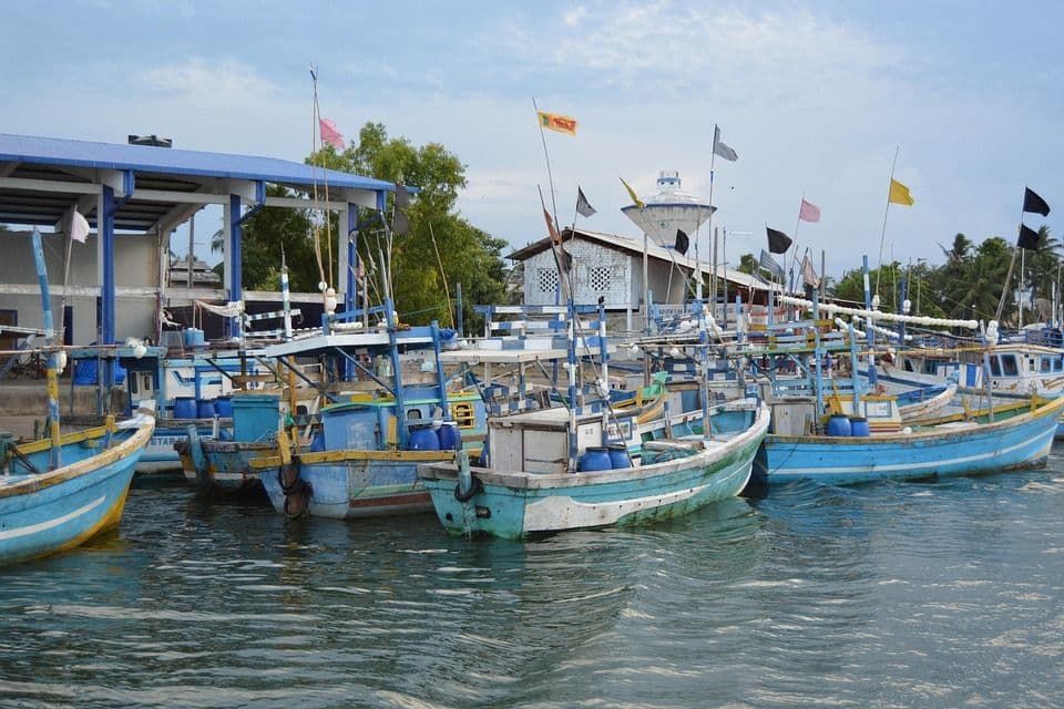 Valaichenai Harbor: The Dawn Fleet