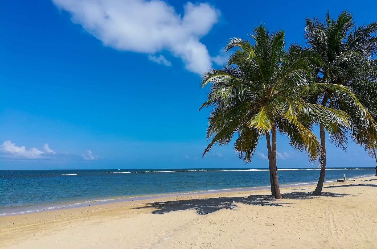 Hidden Gems of Pasikuda: Discovering Secluded Beaches and Untouched Coves